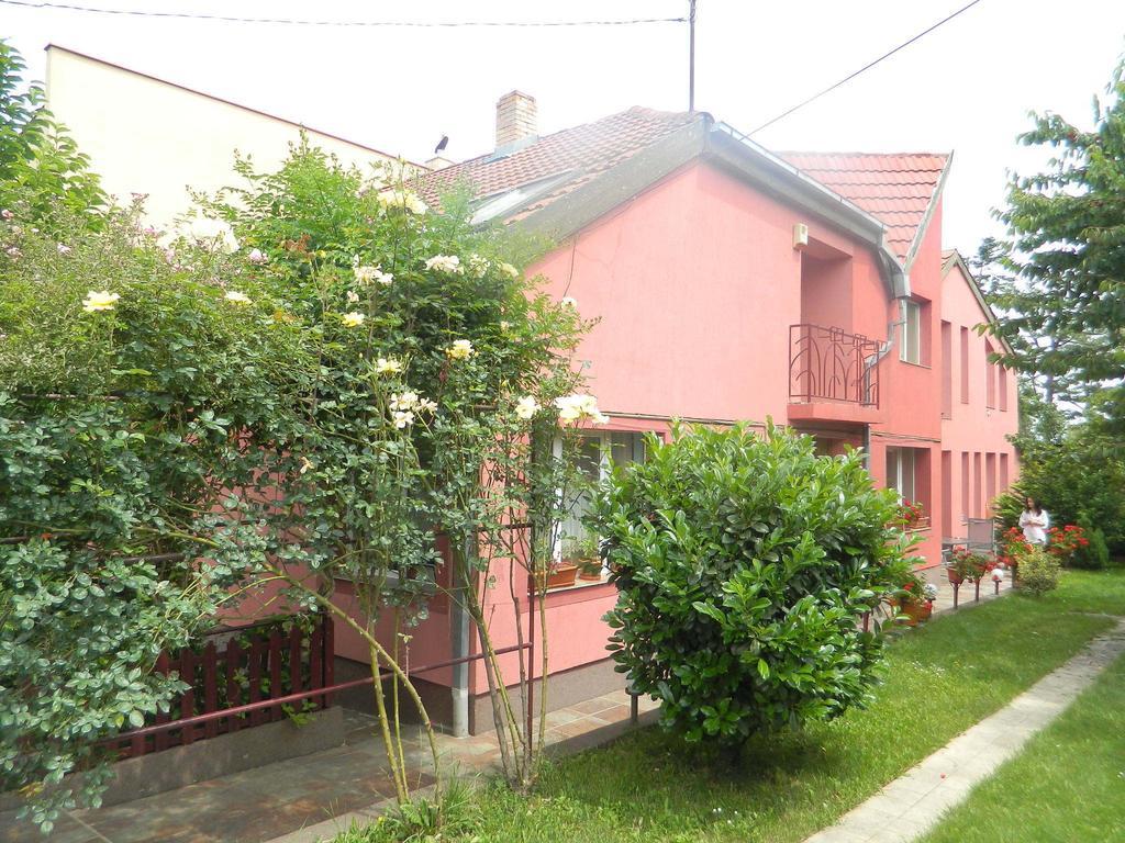 Cazare Vio Otel Kaloşvar Dış mekan fotoğraf